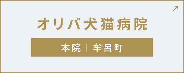 オリバ犬猫病院 本院｜牟呂町