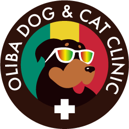 医療法人社団安緑会 オリバ犬猫病院