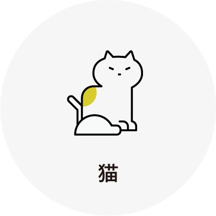 猫